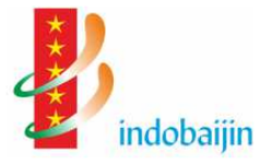 Indobaijin logo