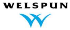 Welspun logo